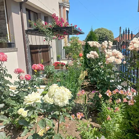 Kaleya House 3* チェルノモレツ