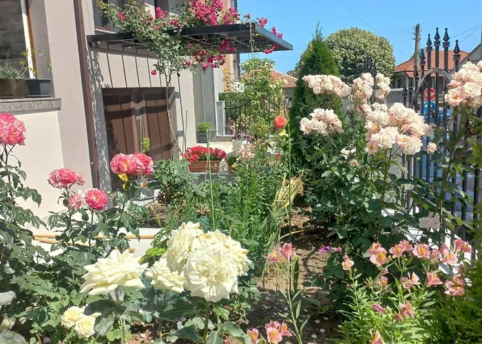 Kaleya House 3* Chernomorets